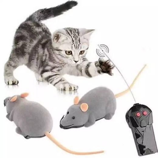 Rato telecomandado para gato