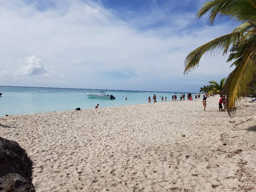 Lugar Saona Beach