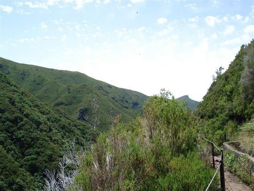 Calheta - Levada of 25 Fontes