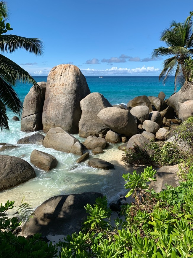 Place Constance Lemuria Praslin Seychelles