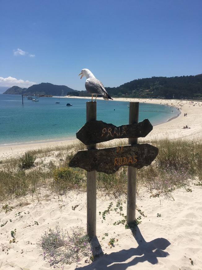 Place Islas Cíes