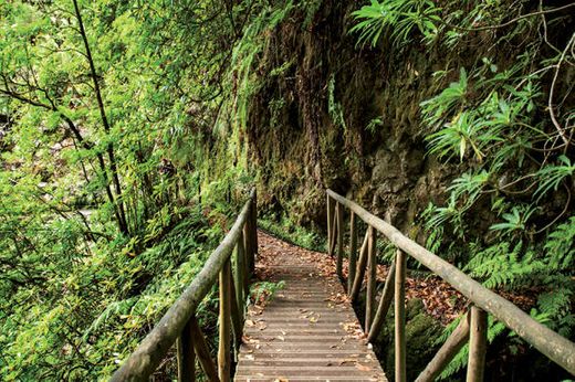 WalkMe | Levadas Madeira