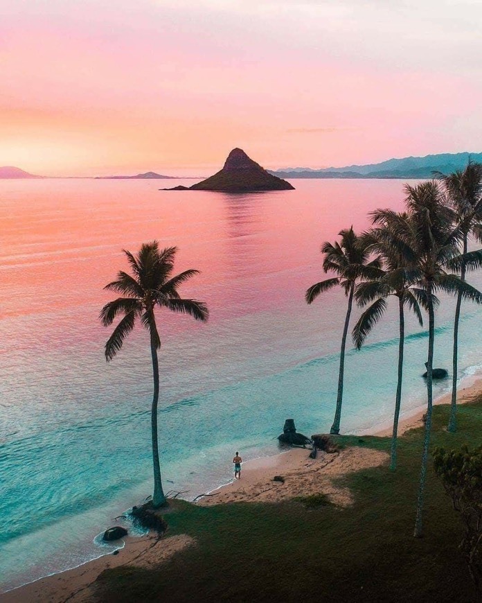 Place Hawaii