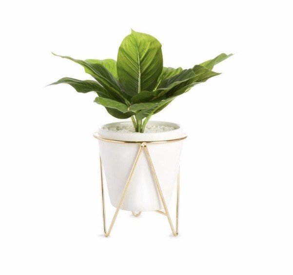 Producto Planta artificial-Primark 