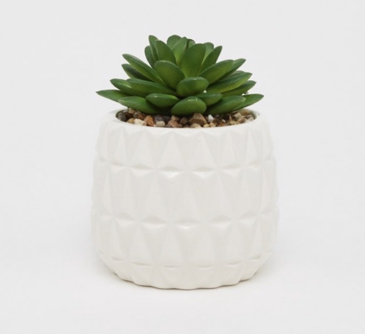 Social Planta artificial-Sfera 