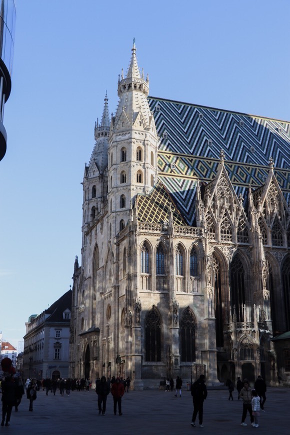 Lugar Catedral de Viena