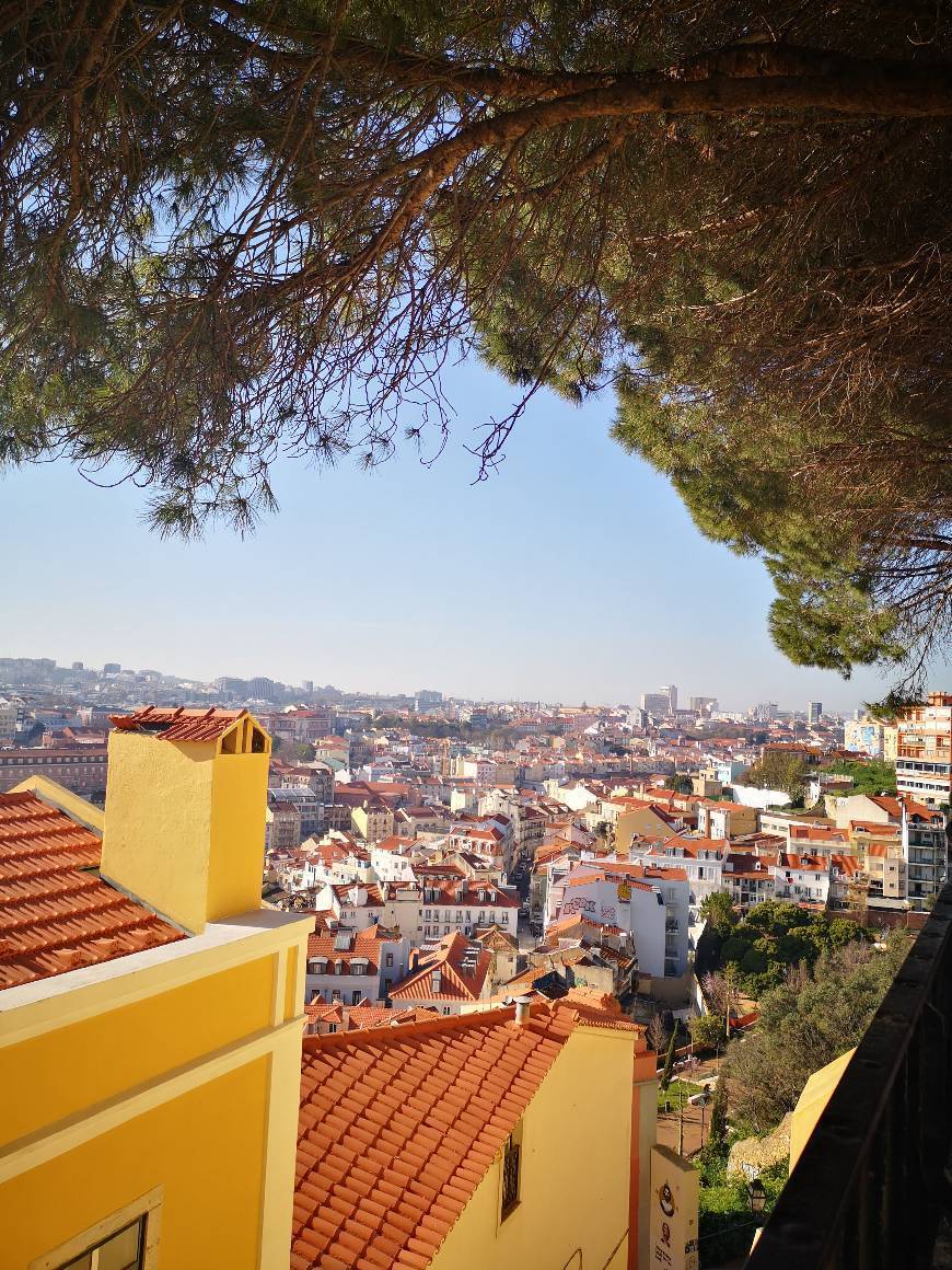 Lugar Miradouro Sophia de Mello Breyner Andresen