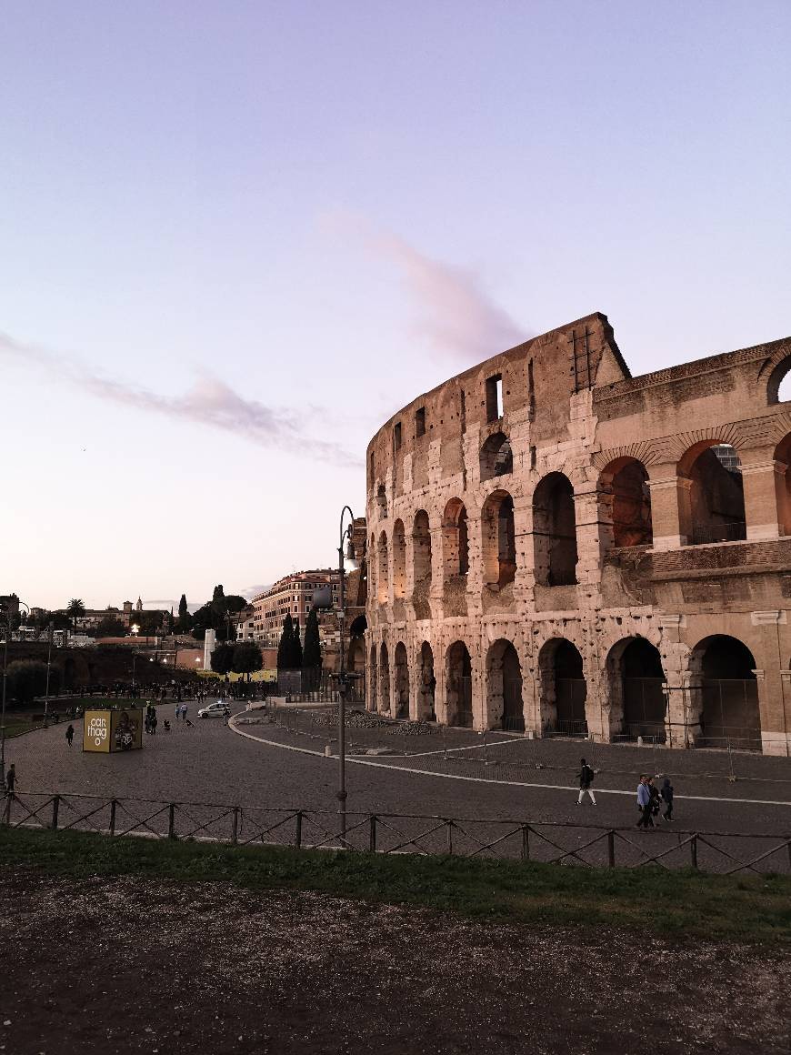 Lugar Coliseo de Roma