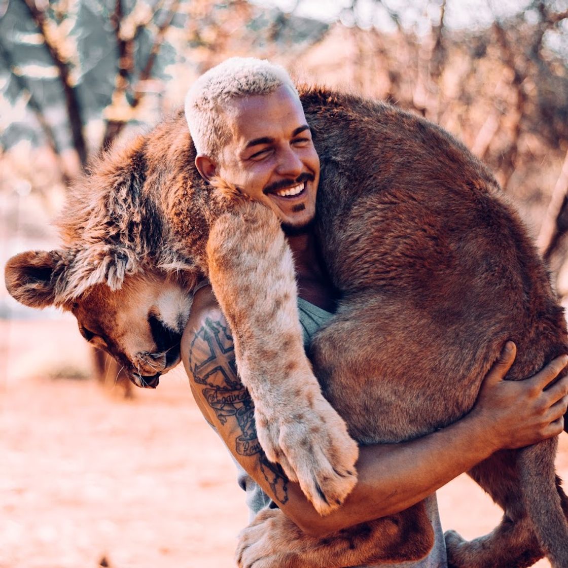 Social Dean Schneider - YouTube