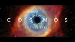 Movie The Cosmic Calendar | Cosmos: A Spacetime Odyssey - YouTube