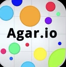 Agar.io 