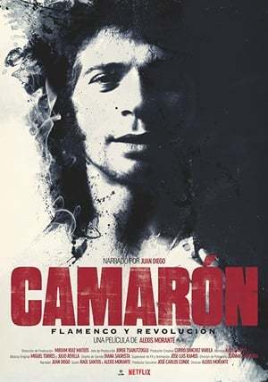 Movie Camarón: Flamenco y revolución