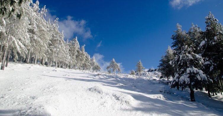 Place Serra da Estrela