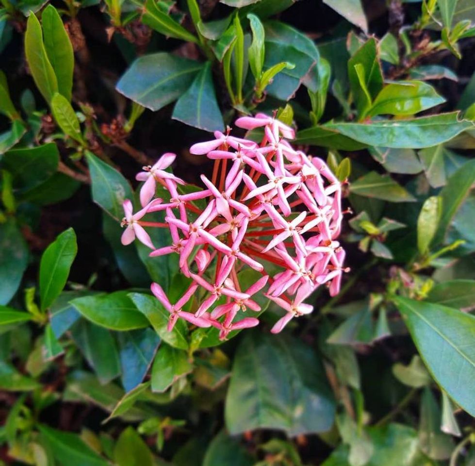 Lugar Hotel Metropolitan Brasília