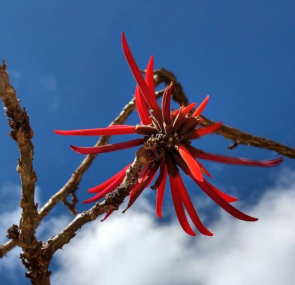 Lugar Igrejinha Nossa Senhora de Fátima