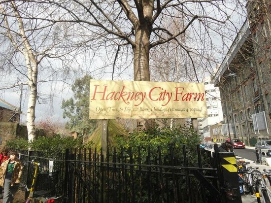 Places Hackney City Farm