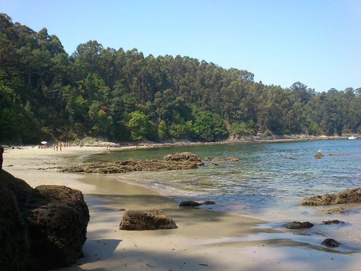 Places Playa Arnela Pequeña