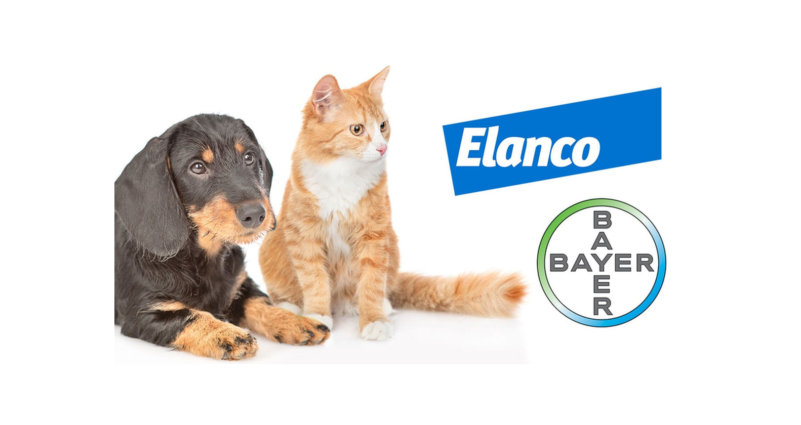 Product Bayer Pet