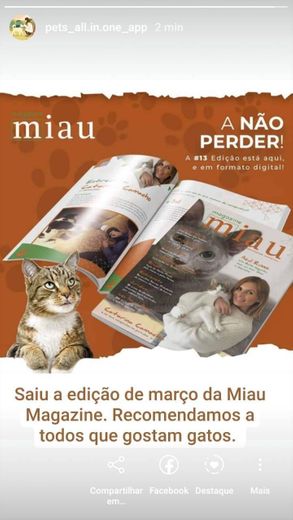 Revista MIAU Magazine 13