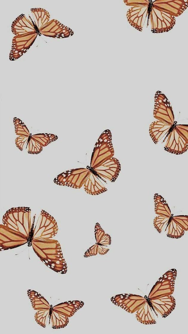 Fashion Wallpaper Boho Butterfly 🦋✨