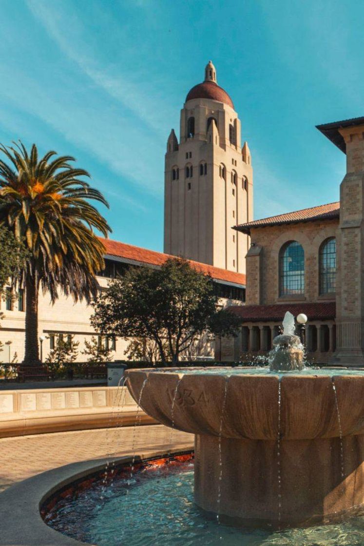 Place Stanford University