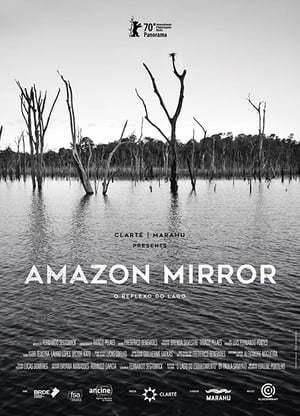 Amazon Mirror