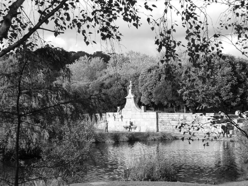 Place Parque da Cidade