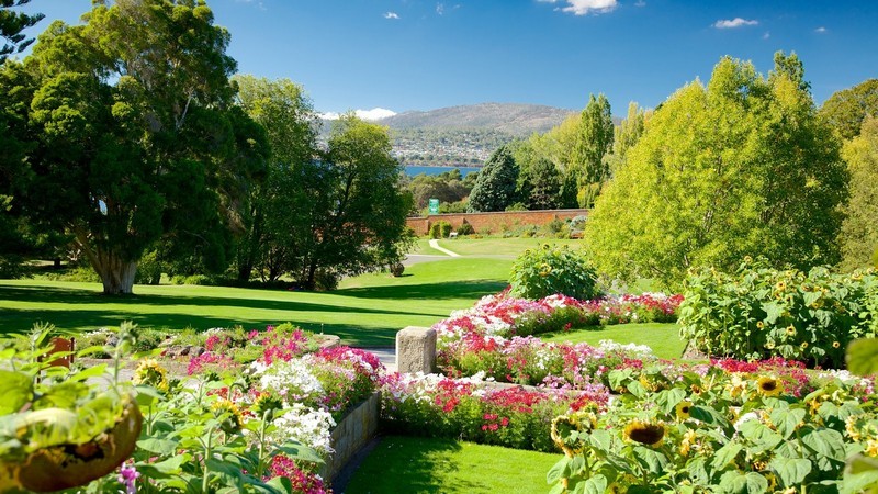 Lugares Royal Tasmanian Botanical Gardens