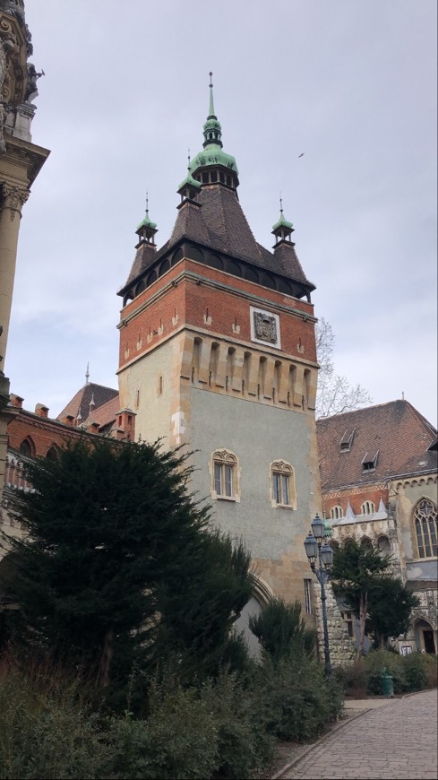 Place Castillo de Vajdahunyad