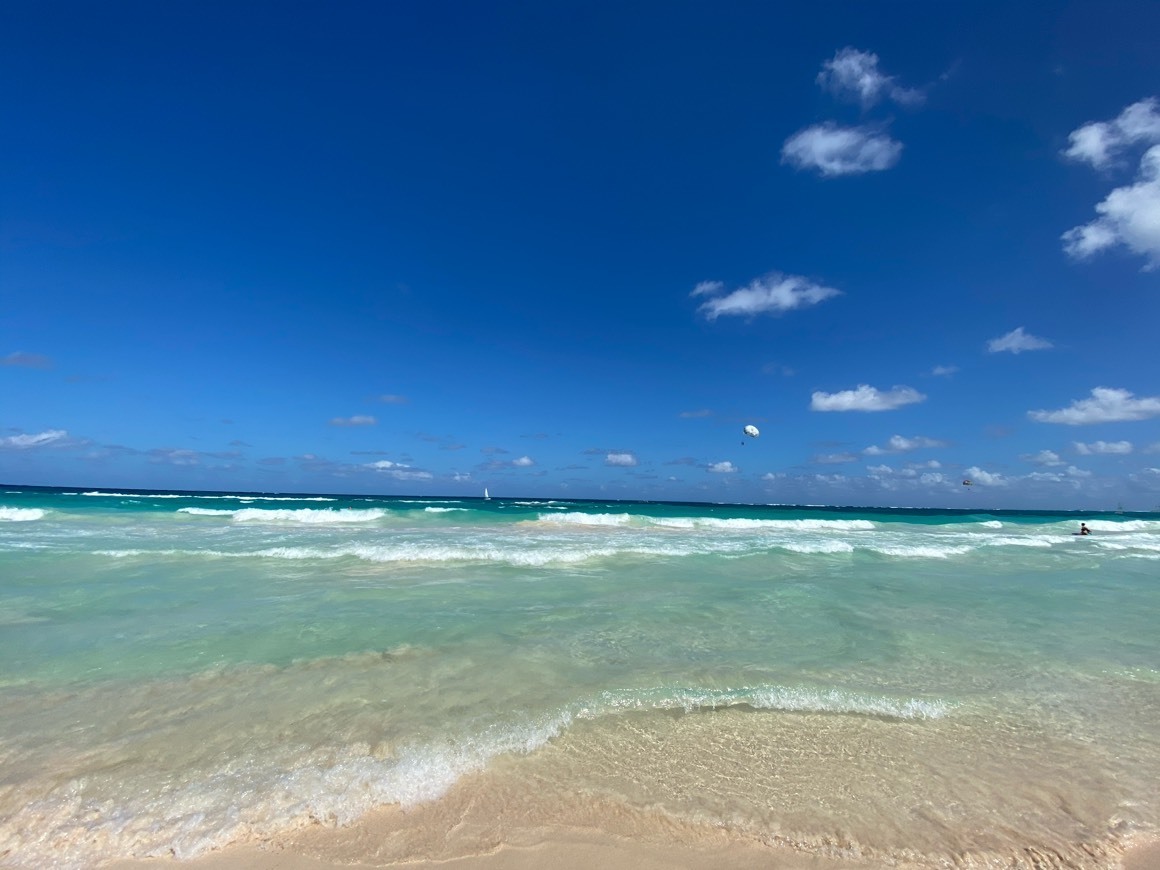 Lugar Hotel Barcelo Bavaro Grand Resort