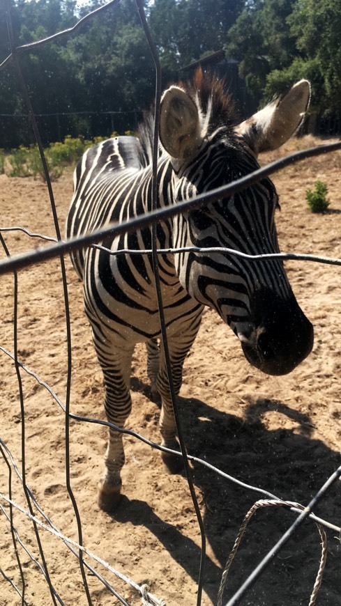 Place Europaradise | Parque Zoológico