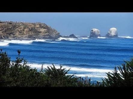 Lugar Punta de Lobos