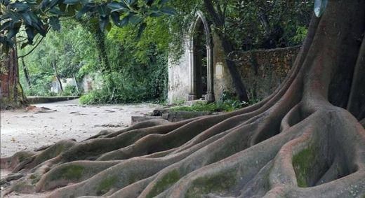 Jardins da Quinta das Lágrimas