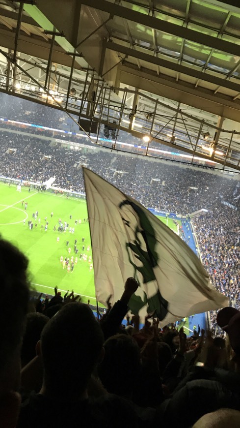 Place Estádio do Dragão