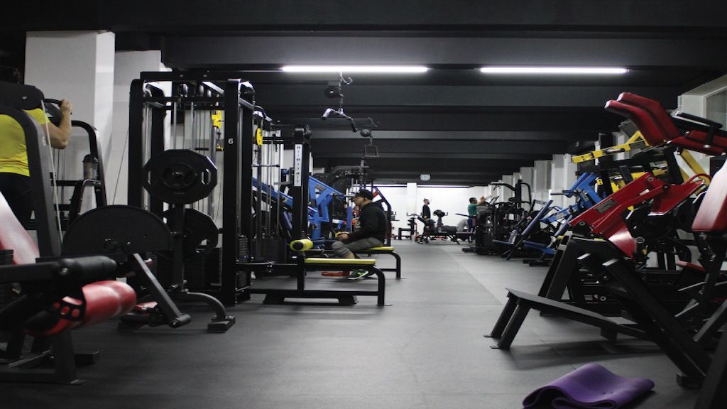 Fox Gym