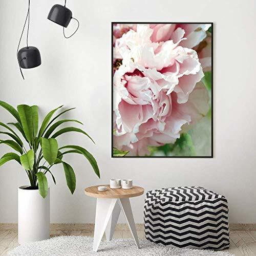 Pinturas decorativas Qudros Carteles Impresiones Flor de peonía Cartel Lienzo Pintura Blush