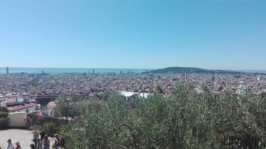 Lugar Parque Guell