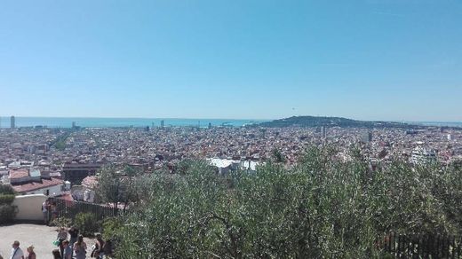 Parque Guell