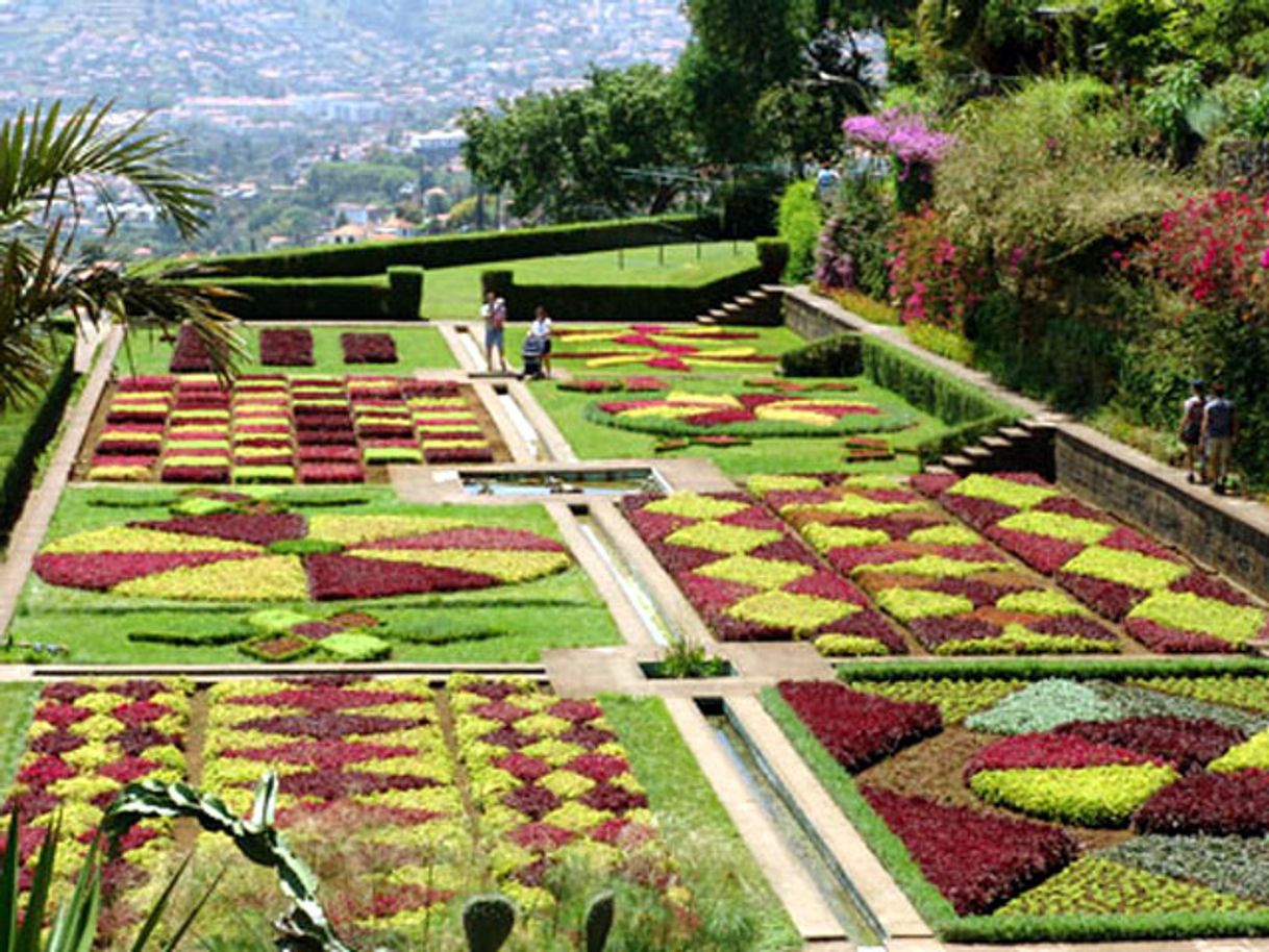 Place Jardín Botánico de Madeira