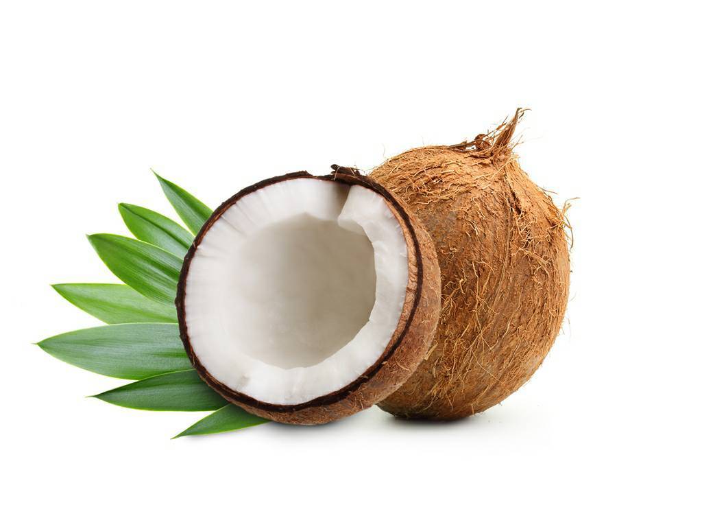 Social Coco