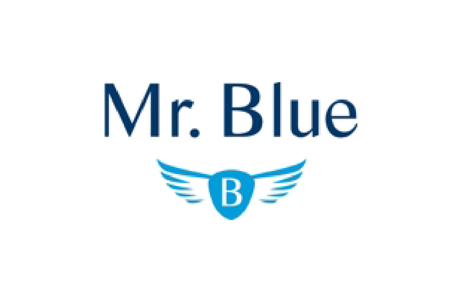 Fashion Mr. Blue logo