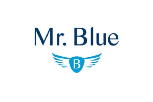Mr. Blue logo