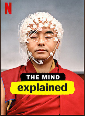 Serie The mint explain 