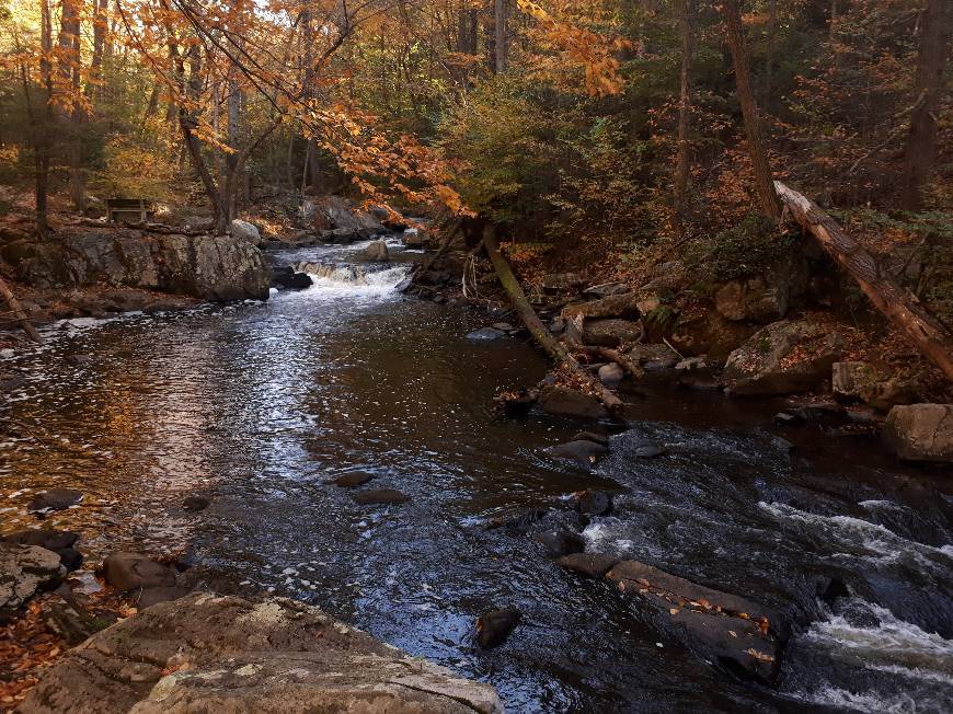 Places Hacklebarney State Park