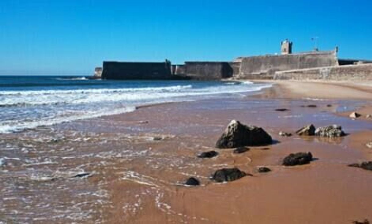 Lugar Torre's beach
