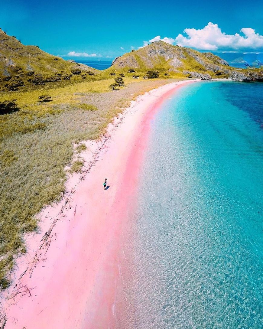 Lugar Pink Beach