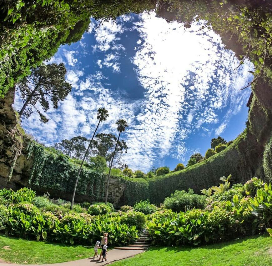 Lugar Umpherston Sinkhole (Cenote)