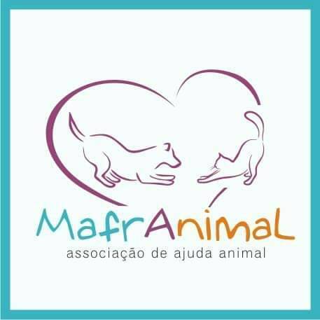 Moda Associações de Protecção Animal