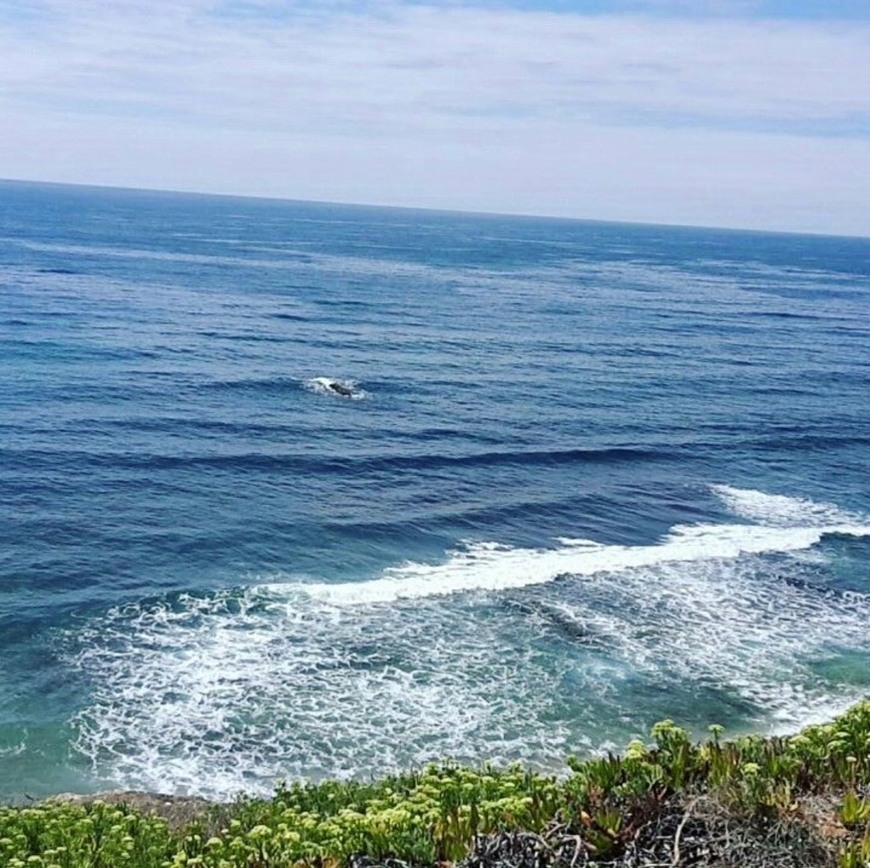 Lugar Praia de São Sebastião