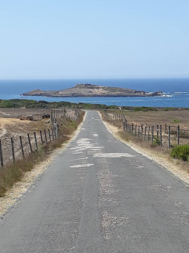 Lugar Ilha do Pessegueiro